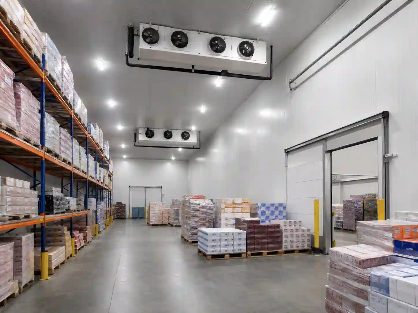 Mroźnia składowa dla produktów mrożonych z regałami i drzwiami mroźniczymi