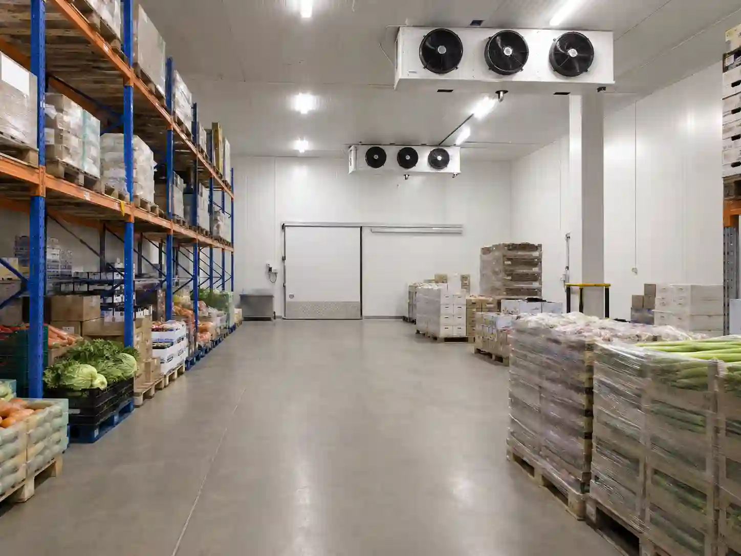 Chłodnia dodatnia do produktów świeżych z regałami, parownikami i drzwiami chłodniczymi